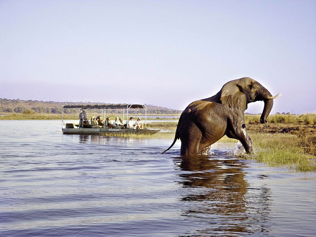 Chobe National Park Botswana Getlocal Africa