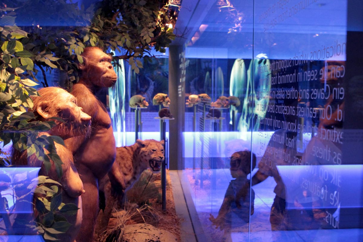 cradle of humankind